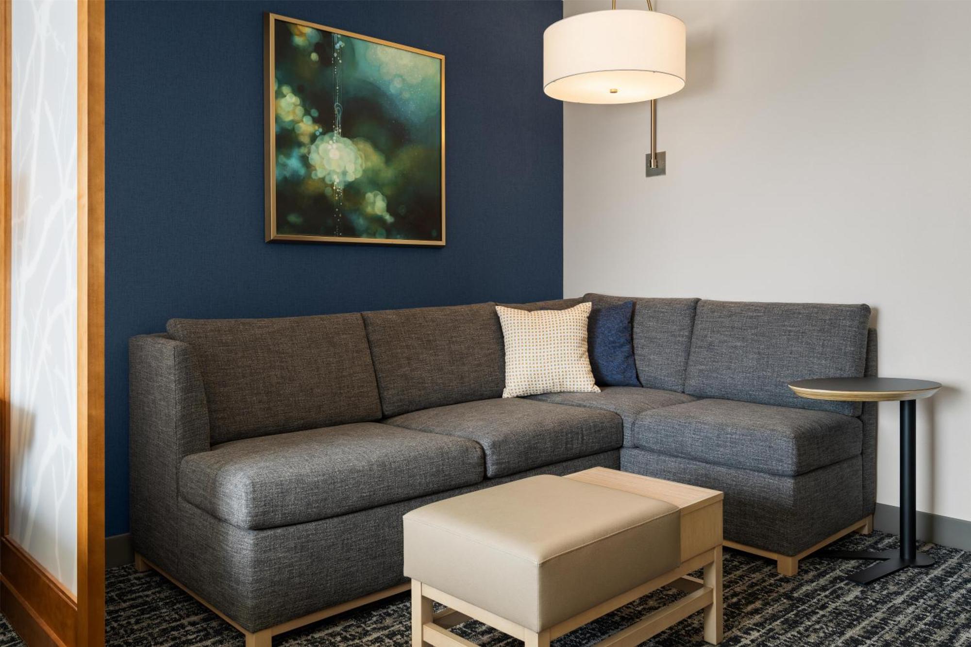 King Room Sofa Bed Bathtub Mobility Access