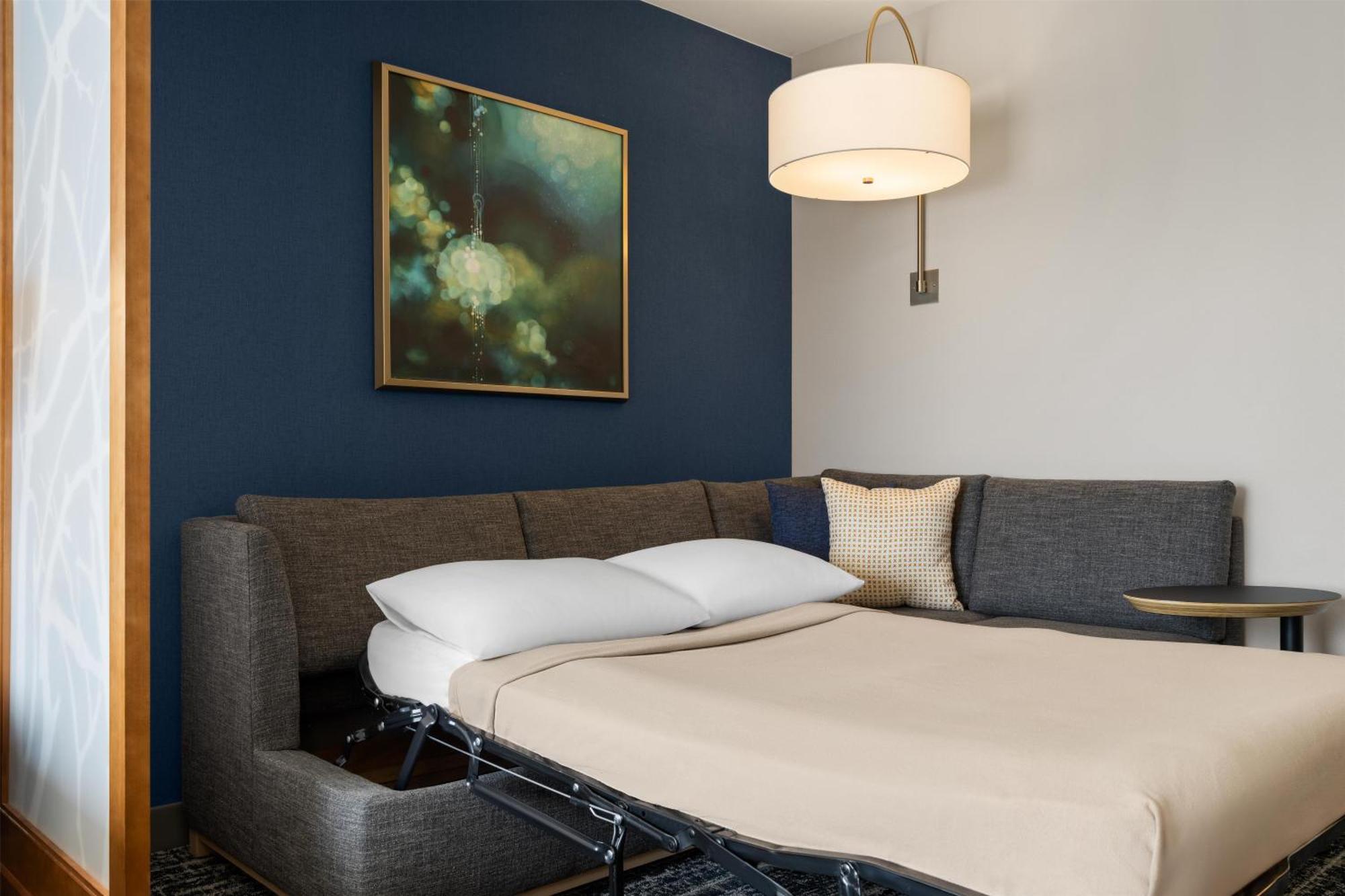 King Room Sofa Bed Bathtub Mobility Access