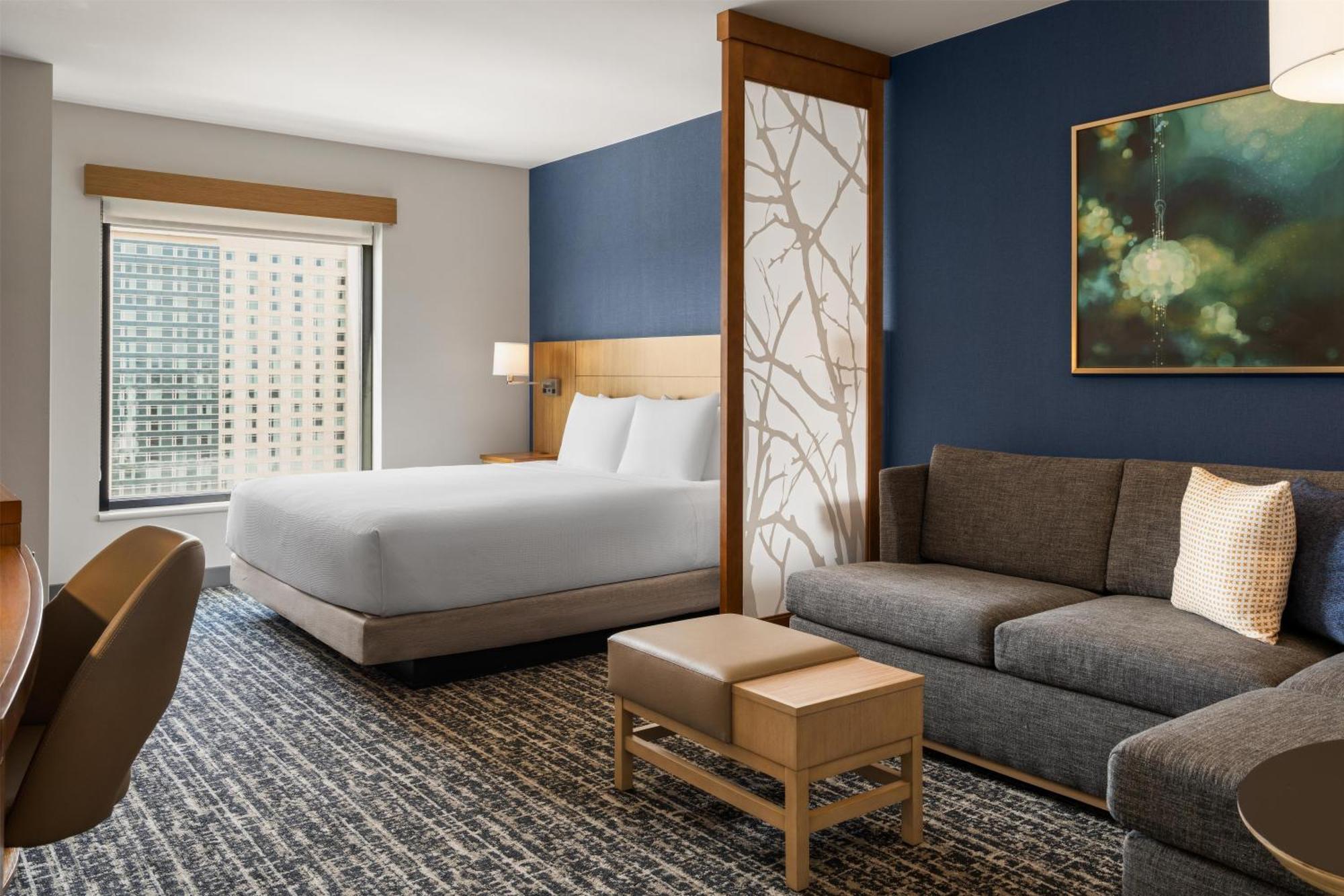 King Room Sofa Bed