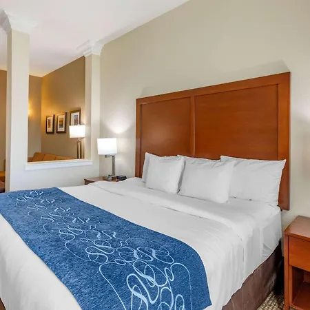 Comfort Suites Near Denver Downtown-3